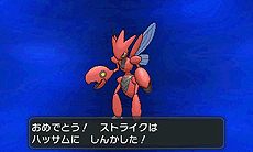 画像ギャラリー No.012のサムネイル画像 / 「『ポケットモンスター X・Y』クリスマス交換会」でメガシンカするポケモンをもらおう。ポケモンセンターおよびトイザらスで12月21日から26日まで実施