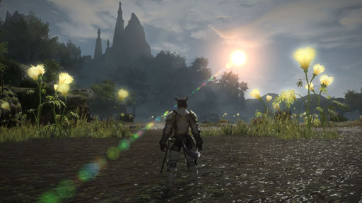 画像ギャラリー No.047のサムネイル画像 / 「FFXIV:新生エオルゼア」βテストフェーズ1〜2をレポート。フィールドでは気の向くままに冒険,ダンジョンではガッツリとパーティプレイ