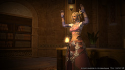 画像ギャラリー No.013のサムネイル画像 / ［E3 2013］MMORPG「ファイナルファンタジーXIV：新生エオルゼア」のSSやCGアートを含む最新画像46点が公開