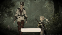 画像ギャラリー No.041のサムネイル画像 / ［E3 2013］MMORPG「ファイナルファンタジーXIV：新生エオルゼア」のSSやCGアートを含む最新画像46点が公開