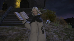 画像ギャラリー No.009のサムネイル画像 / ［E3 2013］「新生FFXIV」の新ジョブ「学者」は，フェアリーと共に戦うヒーラータイプに