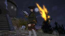 画像ギャラリー No.011のサムネイル画像 / ［E3 2013］「新生FFXIV」の新ジョブ「学者」は，フェアリーと共に戦うヒーラータイプに