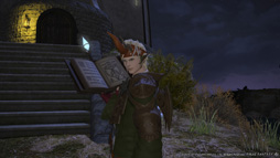 画像ギャラリー No.013のサムネイル画像 / ［E3 2013］「新生FFXIV」の新ジョブ「学者」は，フェアリーと共に戦うヒーラータイプに