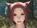 MMORPG初心者のFFファンに贈る「新生FFXIV」ガイド。第2回は，冒険に旅立つ前に知っておきたい「クラス」や「種族」などを紹介