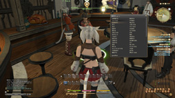 画像ギャラリー No.014のサムネイル画像 / MMORPG初心者のFFファンに贈る「新生FFXIV」ガイド。第3回は，基本的な操作方法と主な都市機能，そして序盤のゲームプレイを紹介