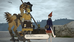 画像ギャラリー No.023のサムネイル画像 / 光の戦士たちの冒険はまだまだ続く。MMORPG初心者のFFファンに贈る「新生FFXIV」ガイド。最終回はジョブやバディチョコボが待つレベル30付近までを紹介