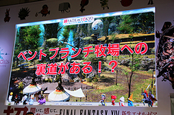 画像ギャラリー No.005のサムネイル画像 / ［超会議3］「ファイナルファンタジーXIV：新生エオルゼア」のステージイベントをレポート。トリビアの披露や来場者参加企画など，盛りだくさんの内容