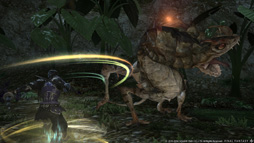 画像ギャラリー No.026のサムネイル画像 / ［E3 2014］「新生FFXIV」の新クラス「双剣士」新ジョブ「忍者」がパッチ2.4で実装決定