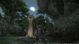 画像ギャラリー No.028のサムネイル画像 / ［E3 2014］「新生FFXIV」の新クラス「双剣士」新ジョブ「忍者」がパッチ2.4で実装決定