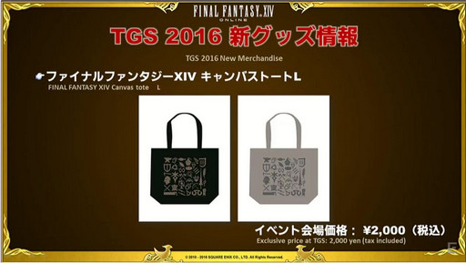 画像ギャラリー No.073のサムネイル画像 / ［TGS 2016］「FFXIV」，パッチ3.4で実装される女神ソフィア討滅戦やアパルトメント情報が公開。「第32回FFXIVプロデューサーレターLIVE」をレポート