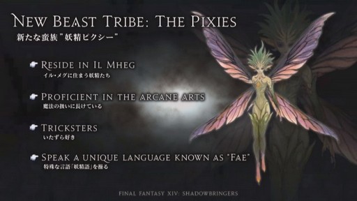 画像ギャラリー No.052のサムネイル画像 / 「FFXIV：漆黒のヴィランズ」のアライアンスレイドは「NieR」とのコラボに。パリで開催された「ファンフェスティバル」基調講演をレポート