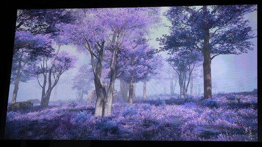画像ギャラリー No.106のサムネイル画像 / 「クリスタリウム」はこうして作られた。「FFXIV ファンフェスティバル in 東京」の「開発パネル」やアクティビティなどをまとめてお届け