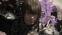 画像ギャラリー No.014のサムネイル画像 / 「FFXIV：漆黒のヴィランズ」ベンチマークソフトが本日11：00より配信開始