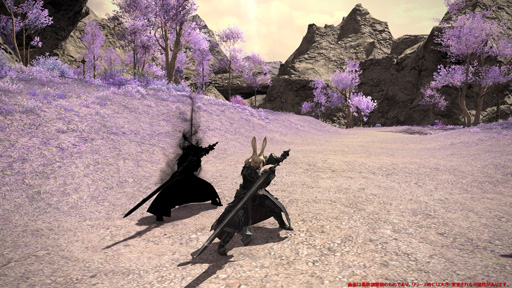 画像ギャラリー No.497のサムネイル画像 / 「FFXIV:漆黒のヴィランズ」で既存15ジョブはどう変わったのか。試遊でのインプレッションを掲載
