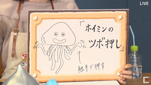 画像ギャラリー No.036のサムネイル画像 / ［TGS 2020］スクエニ商店でFFやドラクエの新作グッズが大量発表！　お得な限定割引クーポンも