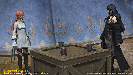 画像ギャラリー No.007のサムネイル画像 / 「FFXIV」,最新パッチ5.4「もうひとつの未来」は2020年12月上旬に公開
