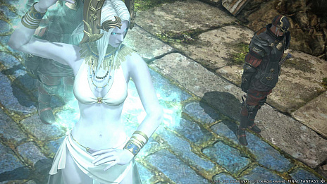画像ギャラリー No.021のサムネイル画像 / 「FFXIV」パッチ5.4「もうひとつの未来」は12月8日に実装