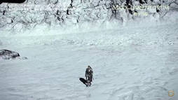 画像ギャラリー No.098のサムネイル画像 / 「FFXIV DIGITAL FAN FESTIVAL 2021」の基調講演をレポート。「暁月のフィナーレ」で“ヴィエラ”の男性追加などサプライズ発表も