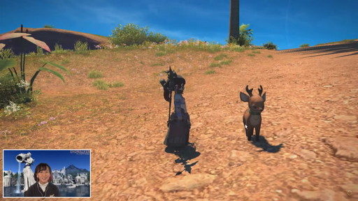 画像ギャラリー No.123のサムネイル画像 / 「FFXIV：暁月のフィナーレ」は12月7日発売に。新PvPやハウジング，新3Dサウンドシステムの情報などが公開された第67回PLLの内容をお届け