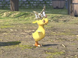 画像ギャラリー No.031のサムネイル画像 / 「ファイナルファンタジーXIV」の深淵を覗いてみないか? 8年以上続くMMORPGに存在するアチーブメントを紹介