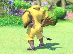 画像ギャラリー No.049のサムネイル画像 / 「ファイナルファンタジーXIV」の深淵を覗いてみないか? 8年以上続くMMORPGに存在するアチーブメントを紹介
