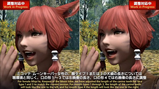画像ギャラリー No.012のサムネイル画像 / 「FFXIV:黄金のレガシー」で追加される新ジョブの詳細や既存ジョブの新アクションが公開された「プロデューサーレターLIVE」の内容をお届け