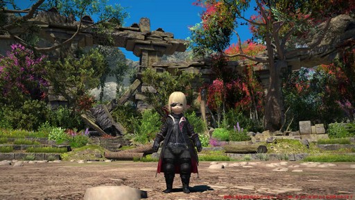 画像ギャラリー No.029のサムネイル画像 / ［プレイレポ］「FFXIV: 黄金のレガシー」で既存のタンクとヒーラーは何が変わったのか。計8ジョブの調整点をチェック