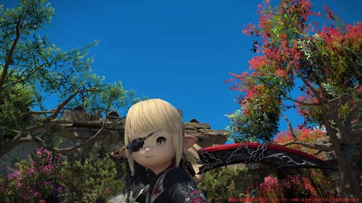 画像ギャラリー No.033のサムネイル画像 / ［プレイレポ］「FFXIV: 黄金のレガシー」で既存のタンクとヒーラーは何が変わったのか。計8ジョブの調整点をチェック