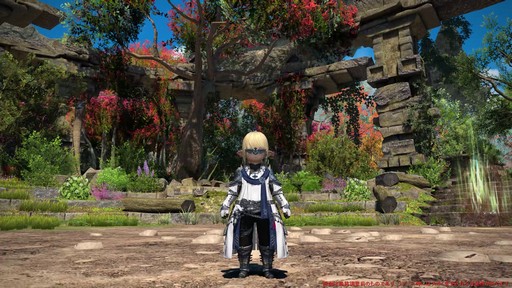画像ギャラリー No.067のサムネイル画像 / ［プレイレポ］「FFXIV: 黄金のレガシー」で既存のタンクとヒーラーは何が変わったのか。計8ジョブの調整点をチェック