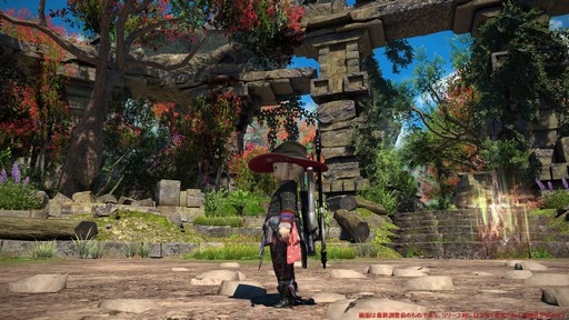 画像ギャラリー No.055のサムネイル画像 / ［プレイレポ］「FFXIV: 黄金のレガシー」の既存DPSをチェック。計11ジョブの調整点は？