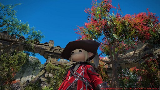画像ギャラリー No.104のサムネイル画像 / ［プレイレポ］「FFXIV: 黄金のレガシー」の既存DPSをチェック。計11ジョブの調整点は？