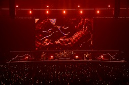 画像ギャラリー No.051のサムネイル画像 / 満員のヒカセンで横浜アリーナが揺れた！「THE PRIMALS Live in Japan - Darkest Before Dawn」レポート