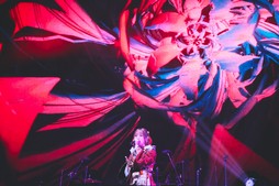 画像ギャラリー No.089のサムネイル画像 / 満員のヒカセンで横浜アリーナが揺れた！「THE PRIMALS Live in Japan - Darkest Before Dawn」レポート