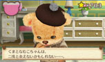 画像ギャラリー No.054のサムネイル画像 / 「しんゆうができちゃうゲーム クマ♡トモ」，クマとのおしゃべりで楽しめる会話のバリエーションが明らかに。クマのプロフィールも判明