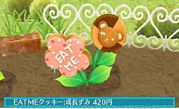 画像ギャラリー No.009のサムネイル画像 / 「クマ・トモ」ダウンロード版が6月20日発売。庭で可愛い植物を育てる「ガーデニング」やミニゲームとして楽しめる「料理」などが公開に
