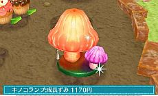 画像ギャラリー No.011のサムネイル画像 / 「クマ・トモ」ダウンロード版が6月20日発売。庭で可愛い植物を育てる「ガーデニング」やミニゲームとして楽しめる「料理」などが公開に