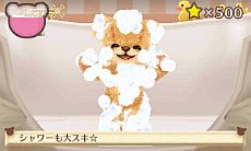 画像ギャラリー No.053のサムネイル画像 / 「クマ・トモ」ダウンロード版が6月20日発売。庭で可愛い植物を育てる「ガーデニング」やミニゲームとして楽しめる「料理」などが公開に
