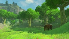 画像ギャラリー No.021のサムネイル画像 / ［E3 2016］「ゼルダの伝説 ブレス オブ ザ ワイルド」のアートワークとスクリーンショットが公開。「amiibo」3体のイメージ画像も