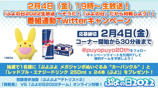 画像ギャラリー No.014のサムネイル画像 / 「ぷよクエ」，2月4日「ぷよの日」を記念した豪華キャンペーンが開催。公式生放送は本日19時から配信