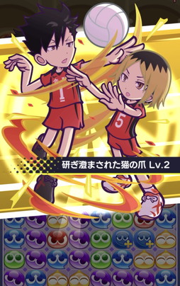画像ギャラリー No.011のサムネイル画像 / 「ハイキュー!!」×「ぷよクエ」コラボ第3弾開催！ 「[★7] 日向翔陽＆影山飛雄 ver.VS音駒」と「[★7] 孤爪研磨＆黒尾鉄朗」が新登場