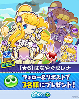 画像ギャラリー No.013のサムネイル画像 / 「ぷよクエ」,はなやぐセレナ・はなかおるマオらが登場するガチャを開催