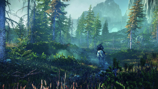 画像ギャラリー No.008のサムネイル画像 / ［E3 2013］オープンワールドとなった「The Witcher 3: Wild Hunt」のマップは前作比35倍の広さに。E3会場でライブデモを見てきた