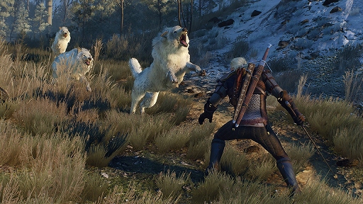 画像ギャラリー No.003のサムネイル画像 / 「The Witcher 3: Wild Hunt」ゲームシーンをダイジェストで紹介する最新トレイラーや4K解像度のスクリーンショットが公開