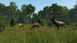 画像ギャラリー No.004のサムネイル画像 / スタンドアロン版「DayZ」のDLC第1弾「DayZ Livonia」がリリース。新たな環境を舞台に最大60人のプレイヤーでサバイバルを楽しもう