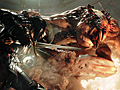 ［TGS 2014］PS4用オンラインRPG「deep down」のTGS 2014バージョンとなる最新トレイラーが公開