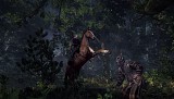 ウィッチャー3 ワイルドハント