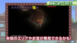 画像ギャラリー No.002のサムネイル画像 / 「テラリア」スタジオえどふみ制作のチュートリアル映像が公開に