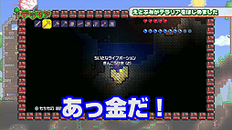画像ギャラリー No.007のサムネイル画像 / PS3「テラリア」，「えどさん”＆ふみいち」による実況プレイ動画を公開。体験版が5月16日より配信となることも明らかに
