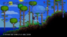 画像ギャラリー No.005のサムネイル画像 / 「テラリア」の店頭体験会が5月16日に東京で,5月18日に大阪で開催決定