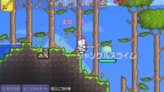 画像ギャラリー No.008のサムネイル画像 / 「テラリア」PS Vita版に“モノミ”や“トロ”の装備が追加アイテムとして収録されることが明らかに。PS3版にもパッチで配布予定